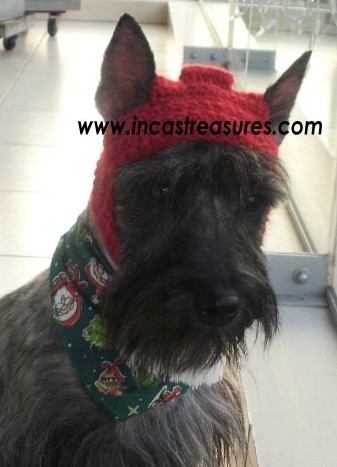 Alpaca Hats for Dogs